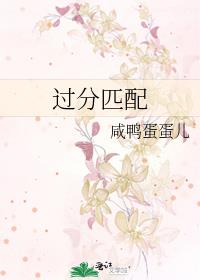 过分匹配 咸鸭蛋蛋儿书评