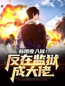 新婚夜入狱!反在监狱成大佬