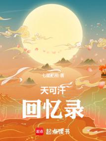 天可汗回忆录