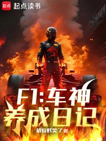 F1:车神养成日记