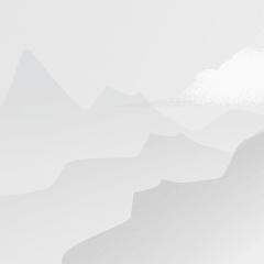 我在希腊恋活为所欲为