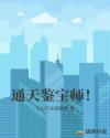 通天鉴宝师 月明星随